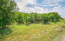 260 Ridgeline Drive, Chico, TX 76431
