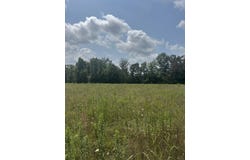 Hwy 704, Burkesville, KY 42717