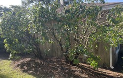 153 Dalton Cody, Brunswick, GA 31520