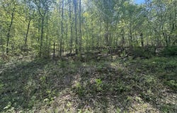 0 Hide Away Drive, Guntersville, AL 35976