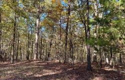1218 Ms 9, Calhoun City, MS 38916