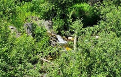 8290 MT Baker HWY, Deming, WA 98244