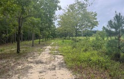 1656 Surrey Race Road, Springfield, SC 29146