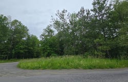 0WP Musson Erwin Rd, Butternuts, NY 13843
