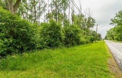 Filkins Road, Arcadia, NY 14513