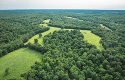 TBD Burley Ridge Rd, Cook Station, MO 65449