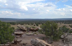 000 N8441, Concho, AZ 85924