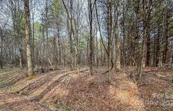 Crestview Drive W, Creston, NC 28615
