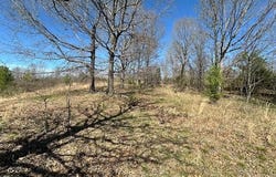 00 Idlewild Hollyleaf Road, Milan, TN 38358