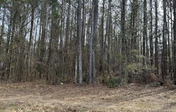 0 COBBHAM Road, Appling, GA 30802