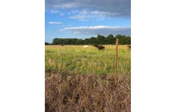 Tract 24  Waymire Road, Howe, OK 74940