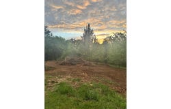 4855 Walnut Creek Road, Scottsville, KY 42164