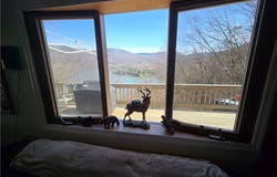 Walton, NY 13783