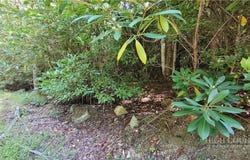 105 Chipmunk Lane, Beech Mountain, NC 28604