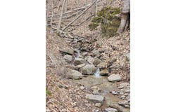 Bobs Run, Alderson, WV 24910