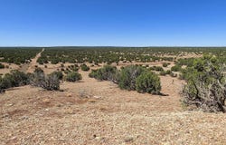 9182 Texas Lane, Show Low, AZ 85901