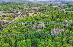 V/L S Coleman Road, Maple City, MI 49664