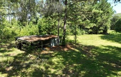336 CR 3992, Bloomburg, TX 75556