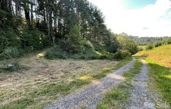 1005 Roberts Branch Road, Marshall, NC 28753