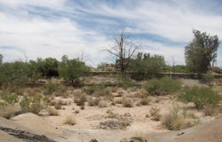23437 N CHURCH Road, Scottsdale, AZ 85255