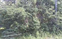 200 E Lime, Ironwood, MI 49938