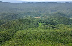 2266 Sol Mountain Rd Road, Del Rio, TN 37727