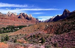 Springdale, UT 84767