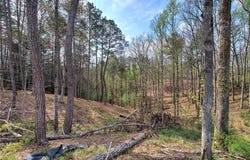 259 High River Road, Ellijay, GA 30540