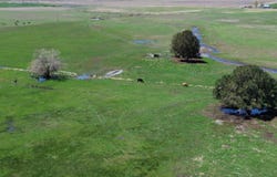 500 Co Rd 22, Cedarville, CA 96104