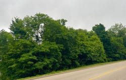 Mozart & 23rd Street, Tell City, IN 47586