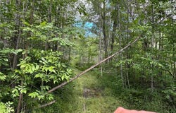 7067 Brown Road, Automba Twp, MN 55757