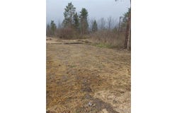 Wilson Road, Collins, NY 14034