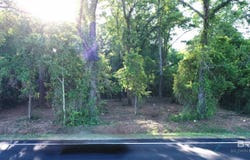 Highway 87, Jay, FL 32565
