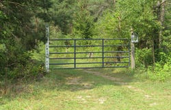 7595 Randolph Way, Mesick, MI 49668