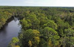 Kingsley Pl, Navarre, FL 32566
