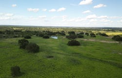 2800 N CR 294, Early, TX 76802