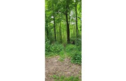 Tbd Everready Road, Pokegama Twp, MN 55063