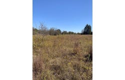 000 County Road 304, Lexington, TX 78947