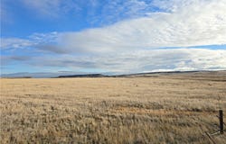Vananda, MT 59327