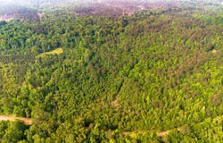 Fields Farm Road, Millen, GA 30442