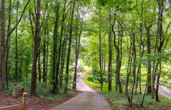 118 Hawkins Farm Lane, Ball Ground, GA 30107