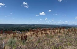 8503 N FULLVIEW Ln, Spokane, WA 99208