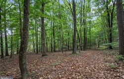 1202 PACK HORSE ROAD, CROSS JUNCTION, VA 22625