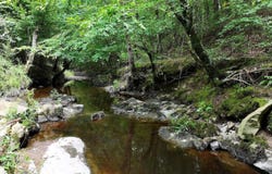 526 EBENEZER Road, Amity, AR 71921