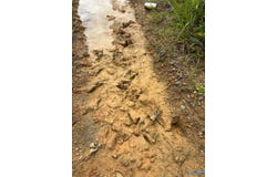 Tract 1 Tom Cat Road, Gadsden, AL 35903