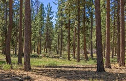 0 Blue Wing Street, Keno, OR 97627