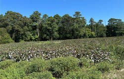 12 Ac Tar Road, Windsor, VA 23487