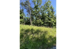 299 Beaver Road, Branson, MO 65616