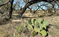 2055 County Road 472, Rochelle, TX 76872