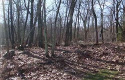 DEVILS BEND lot: 6, NELLYSFORD, VA 22958